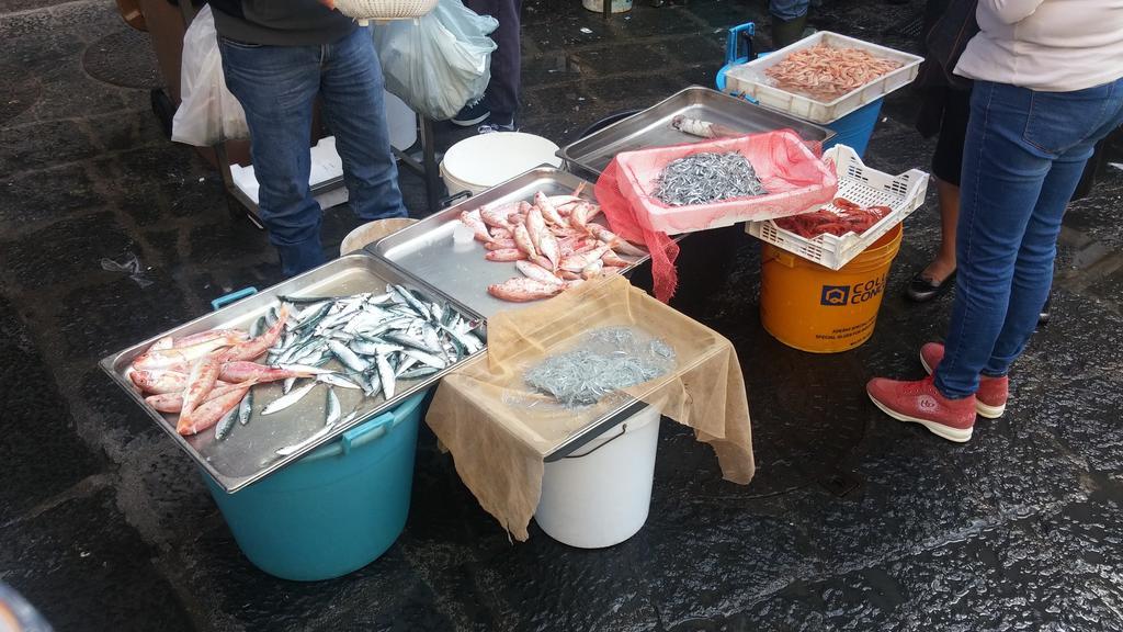 Centrocitta Βίλα Κατάνια Εξωτερικό φωτογραφία